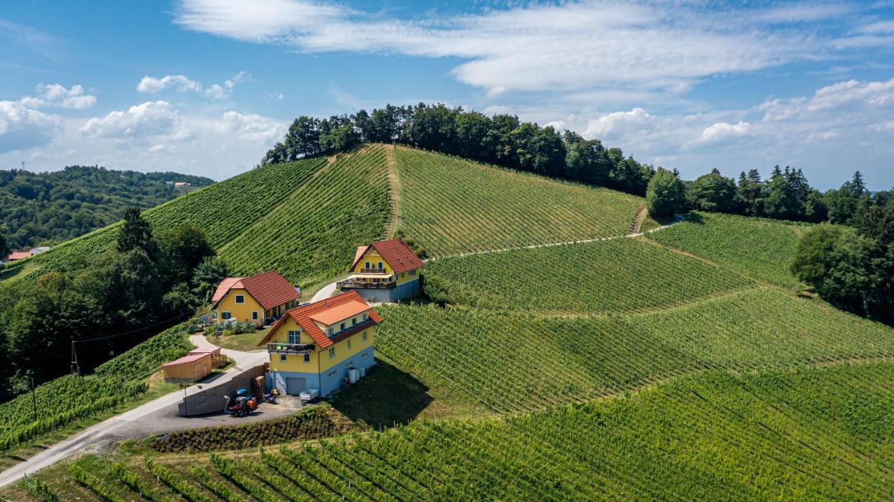 Weingut-Gaestehaus Birnstingl Gamlitz Exterior photo