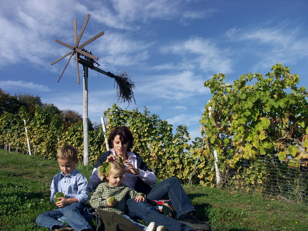 Weingut-Gaestehaus Birnstingl Gamlitz Exterior photo